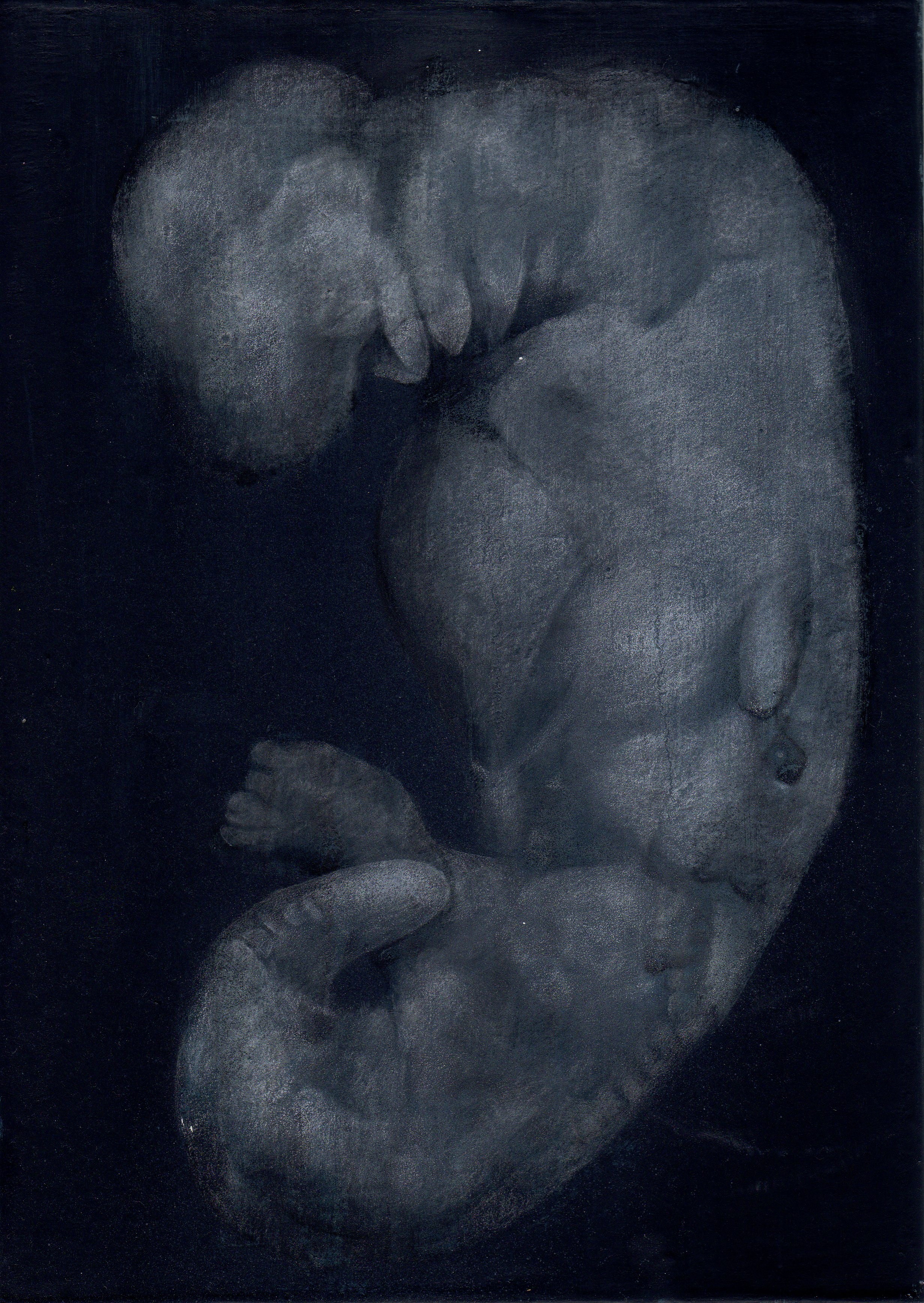 baby(dragon)