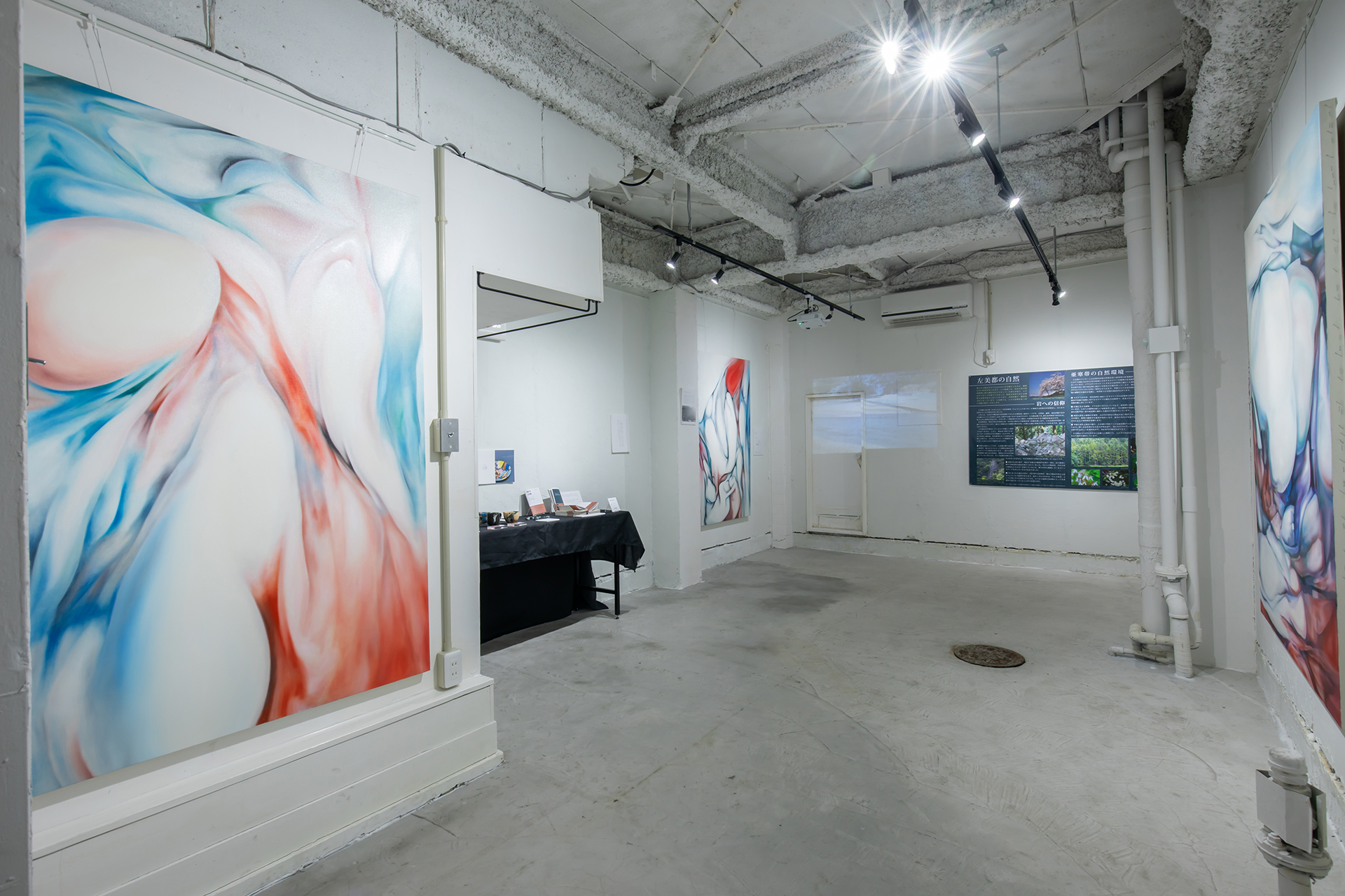銀座展 展示風景全景ホワイトキューブ