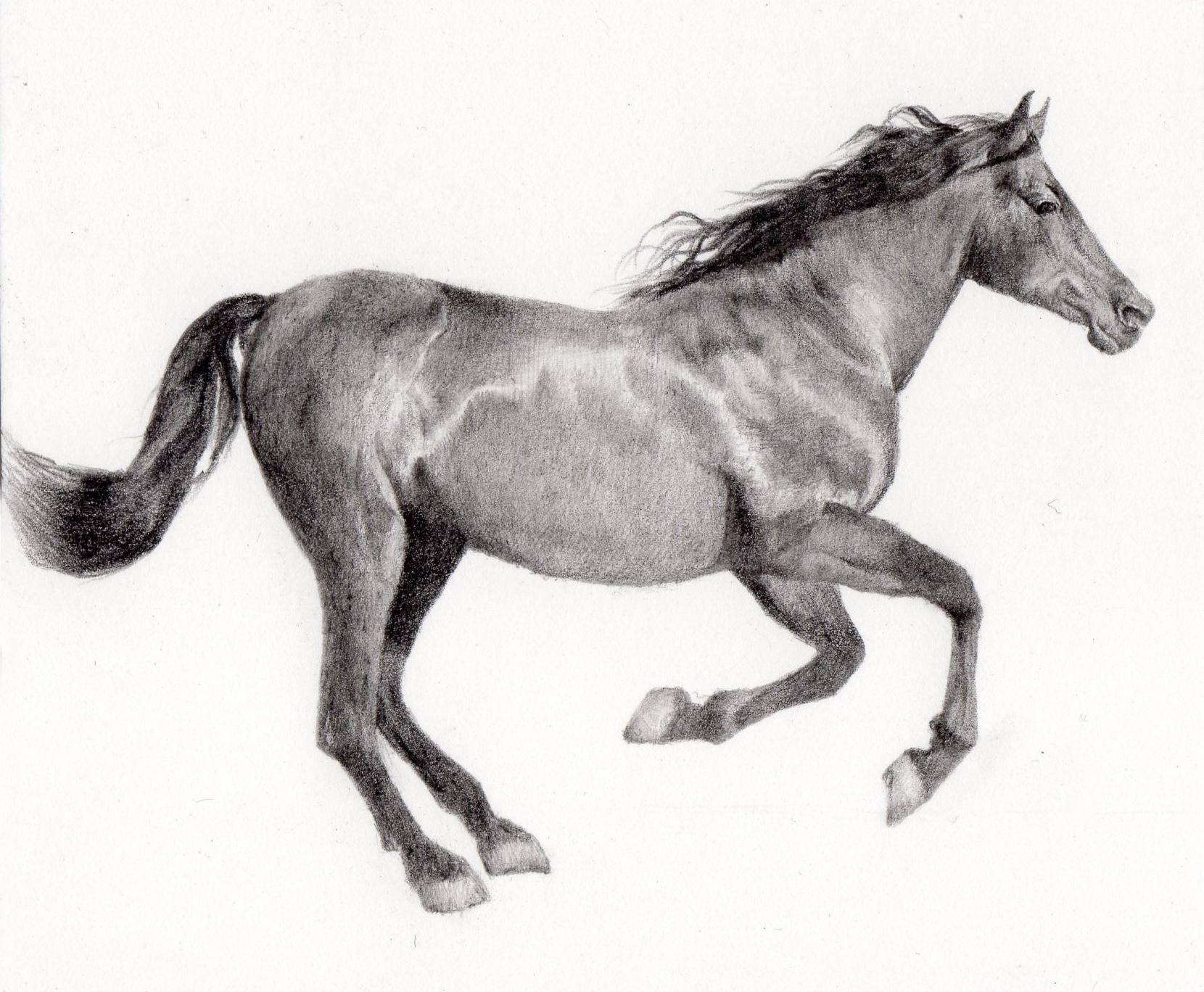 馬